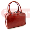 Ladies Handbag (LB41)